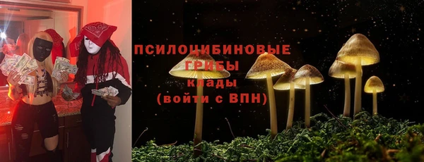 ECSTASY Покровск